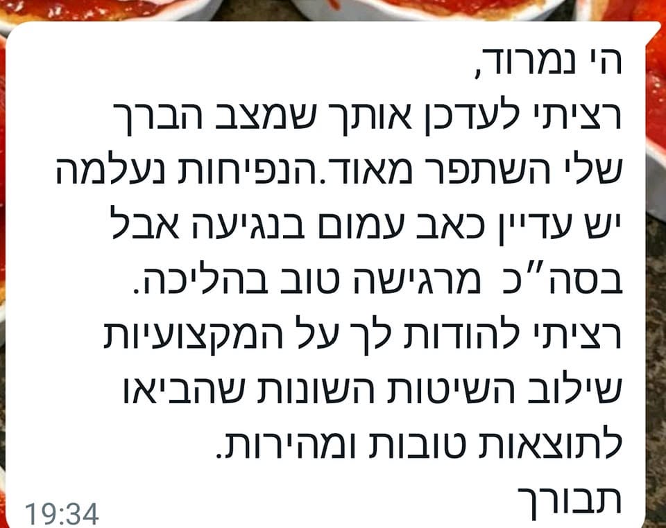 המלצה 2