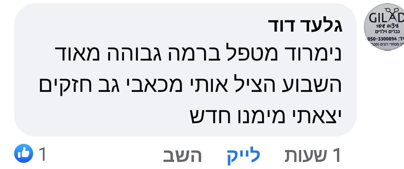 המלצה 1